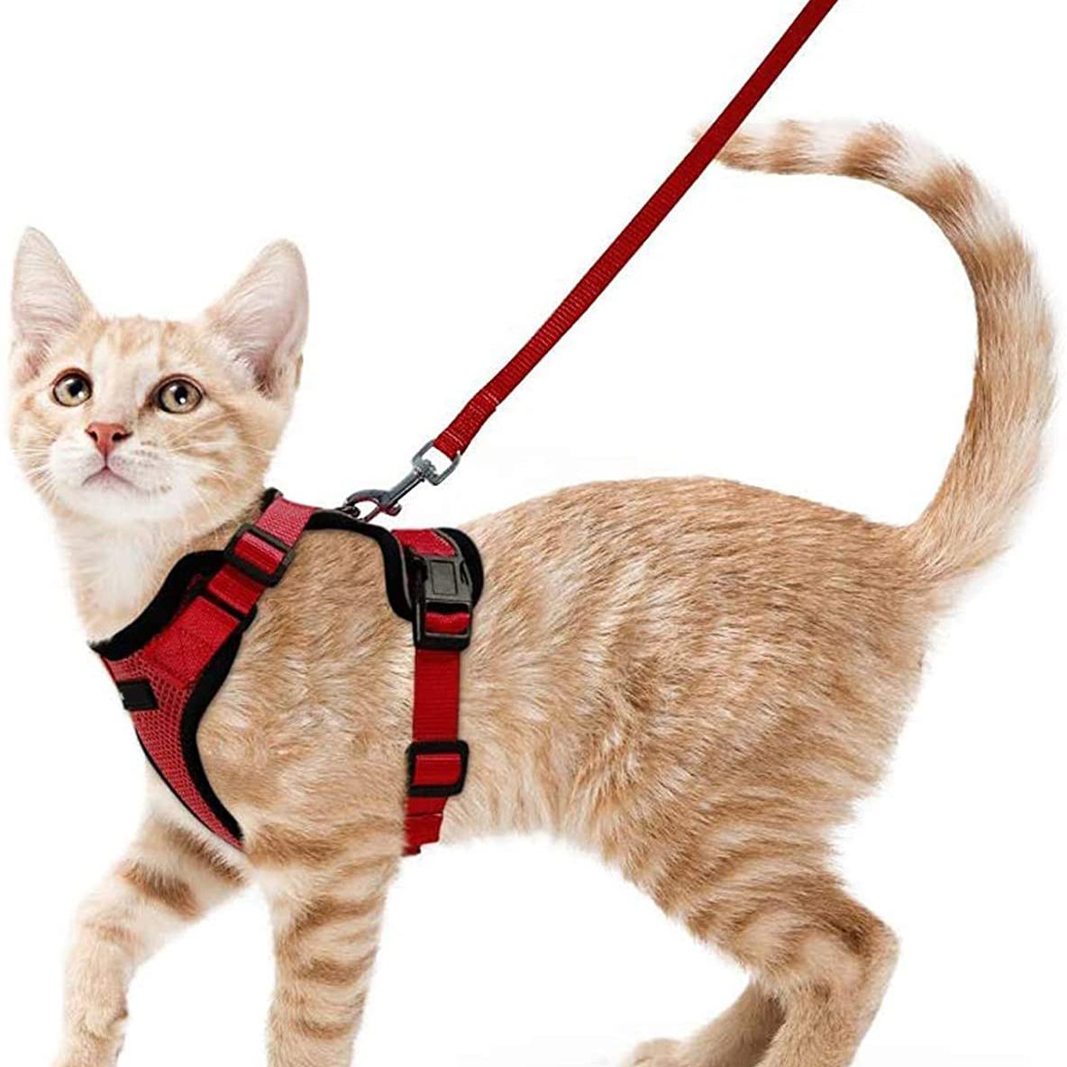 Pet Cat Vest Type Adjustable Anti Breakaway Leash