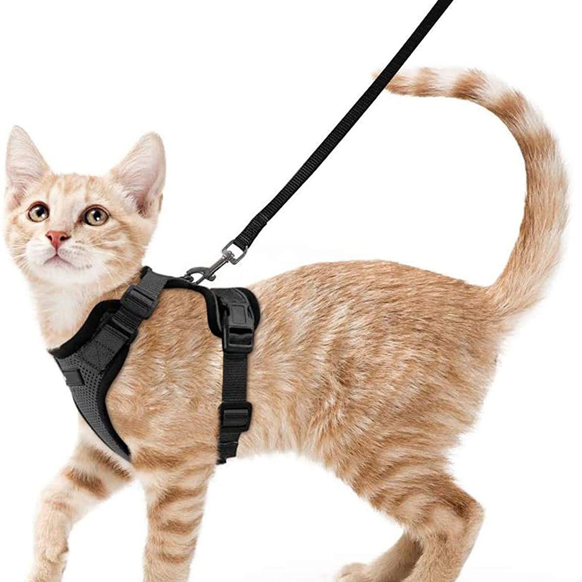 Pet Cat Vest Type Adjustable Anti Breakaway Leash